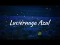 Flor Amargo, su mas bella cancion...