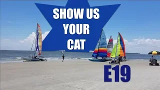 Show us your cat! Episode 19 Germany, Austria, Canada and USA