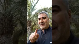 معجزة مذهلة في عدد سور القرآن 
