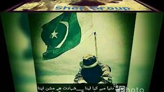 sher marna punjabi song for pmln