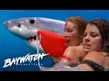 Lagu Shark Attacks As Helicopter Crashes Into The Sea! Baywatch Remastered
