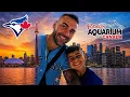 TORONTO RIPLEY S CN TOWER BLUE JAYS