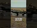 Download Lagu Lost Footage: Will the B-29 Kee Bird Run After 50 Years?