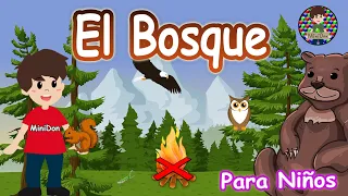 Download ¿Qué son los Bosques🌳🌲 Video Educativo para niños MP3