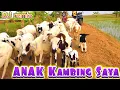 Download Lagu Lagu Anak Kambing Saya - Dj Remix Caca Marica Hey hey