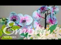 Download Lagu LEEG (Originele versie Mp3)