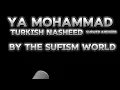 YA MUHAMMAD | TURKISH NASHEED | SLOWED AND REVERB.