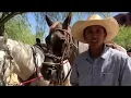 Horseback Riding at Sheridan Grand at Wild Horse Pass