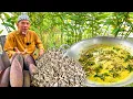 Download Lagu CENDAWAN SISIR DENGAN JANTUNG PISANG MASAK LEMAK ‼️ Lauk Paling Laris ni