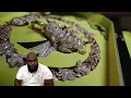 BOOTER BEE - RICHARD MILLE [Official Video] - REACTION