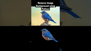Remove Image Background in Seconds with Python rembg Tutorial