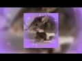 Download Lagu KOMPA JERSEY - FUNK IN RIO (SUPER SLOWED) (TIKTOK SONG)