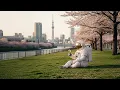 Melodic House Mix #7 | Parra for Cuva, Monolink, Marsh, Rüfüs Du Sol