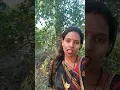 Download Lagu Sam ho akhari yad hai aaj bhi