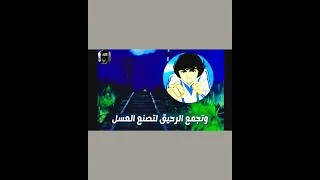 اغنيه البدايه فارس الشجاع بطل حلبه الملاكمه اطفال كرتون الزمن الجميل 