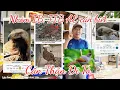 Lagu ⭕ Cẩn thận đi TÙ AE Nuôi chim cảnh cần biết chim thuộc nhóm IB , IIB | Lưu Tam- Birds \u0026 Garden Life