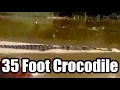 Download Lagu 35 Foot Crocodile Seen After Attack, Bujang Senang Part 3