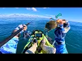 Download Lagu Ocean South Florida Kayak Fishing For What Ever Eats The CRAB - SWARMED By Sharks!!