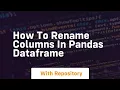 How to rename columns in pandas dataframe