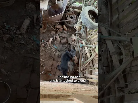 This Broke my Heart