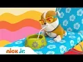 Make a Splash Summer w PAW Patrol Blaze Nella More Nick Jr Summer Anthem