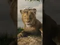 Download Lagu Mufasa: The Lion King | Get Tickets Now | In Theaters December 20