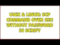 Unix Linux Scp command over ssh without password in script 2 Solutions