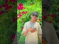 Download Lagu Kesuda timali..!😉 #adivsi #timali #aadiwasiboy #10kviews #vadodara #explorenow