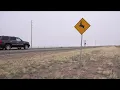 Wyoming creates app for claiming roadkill