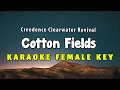 Download Lagu Cotton Fields Karaoke Version Creedence Clearwater Revival - CCR Female Key