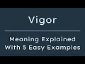 What Does Vigor Mean Vigor Meaning in English With 5 Example Sentences