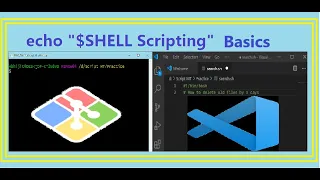 Basic Shell Scripting Select Loop and Case Statement