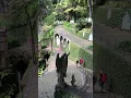 Download Lagu Take Me To Paradise, Madeira’s Botanic Gardens