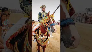 الفارس صالح لسود فرسان اولاد وصيف 