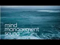 Gentle Ocean Waves Crashing on Beach at Sunset | Pure Wave Sounds for Sleeping & Relaxation (1 Hour)
