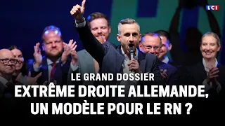Le Grand Dossier - Extrême droite allemande, un modèle pour le RN ?｜LCI