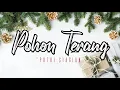 Download Lagu Pohon Terang | Putri Siagian | lagu natal 2023