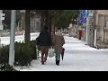 サボテンの花   (唄) チューリップ  財津和夫  歌詞付き