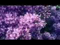 We Don't Have To Take Our Clothes Off || Ella Eyre Lyrics