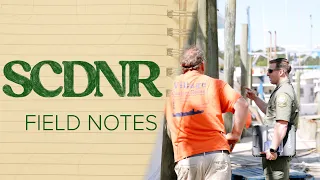 SCDNR Field Notes Protecting Our Saltwater