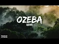 Ozeba - Rema (Lyrics)