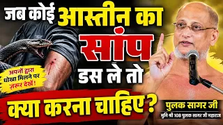 जब कोई आस्तीन का सांप डस ले तो क्या करना चाहिए \ Motivational video \ Muni Pulak Sagar ji