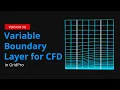 Variable Boundary Layer for CFD in GridPro