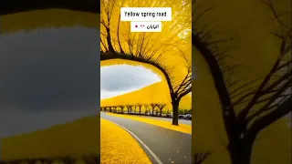 أماكن على الأرض مستحيل تصدق أنها حقيقة طبيعة عجائب الطبيعة عجائب Travel سفر مغامرات Shorts 