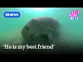 He is my best friend meet the man living with Thailand s dugongs Asia News Week ABC NEWS