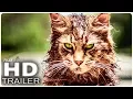 Video di PET SEMATARY Trailer Italiano (2019)
