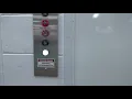 Abell Hydraulic Elevator - Menards