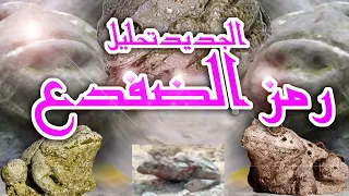 تحليل اشارة الضفدع تحليل رمز الضفدع 