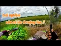 Download Lagu Săn cá lóc ở đám ruộng mới cắt || tes luôn cần ashino battle 3m || #duphanfishing