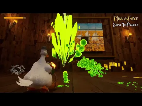 The Video